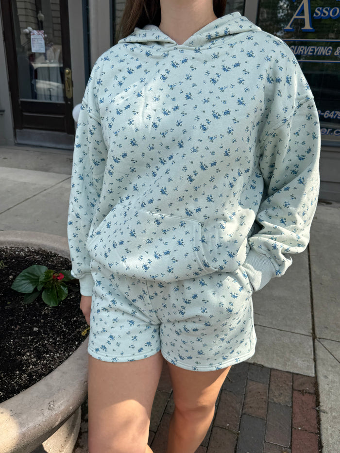 Ditsy Floral Hoodie Sweatshirt for Women Casual Pullover in Pastel Shades